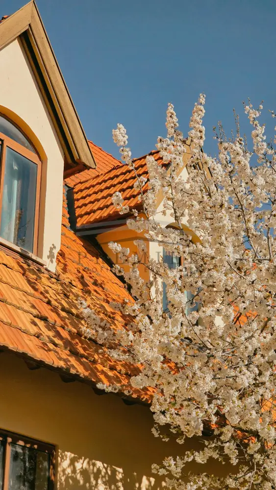 Residential Roofing Services in Kennewick, WA​